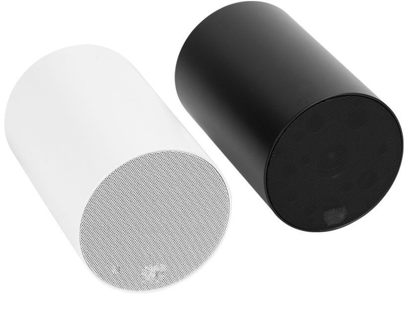 Black and white directional speaker